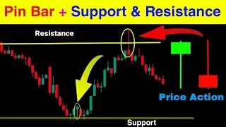 Pin bar Candlestick patterns + Support & resistance Basic to Advance 🔴| #stockmarket | pkr trading
