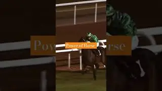 Power of horse #horse 🏇#jockeyindia #horsechampionjockey
