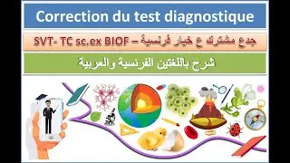 TCS- Test diagnostique -B
