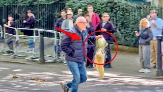 Tourist&rsquo;s Bold Move: Grabs Helmet of British Horse Guard