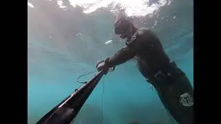Durras spearfishing Jan 2023