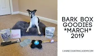 March 2019 BarkBox - Unboxing