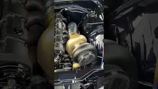 Ultimate JDM Symphony - Nissan Silvia S14 240sx with The Crazy RB32