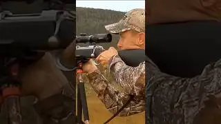 Точный выстрел по дикому оленю через прицел 🎯🦌 #shorts #hunting