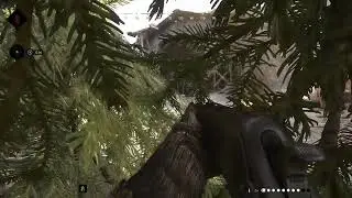 Hunt  Showdown 1896   I'm a bush baby