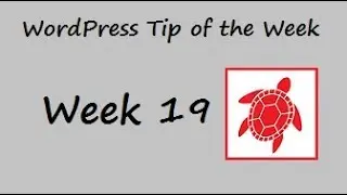 WordPress Tip of the Week - Week 19 - Creating a Custom 404 Page