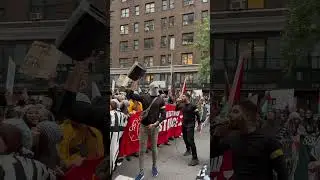 🇵🇸 Palestine protests in New York￼
