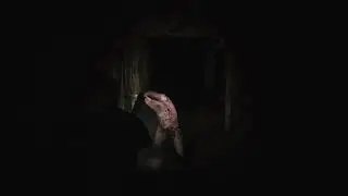 SILENT HILL 2 - Blunt Force Trauma Trophy