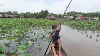Visiting a lotus farm in Dong Thap, Mekong Delta, Vietnam