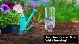 Keep Your Garden Safe While Traveling!