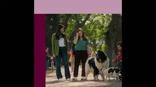 Moving with Pets - BHHS Portugalrproperty.com