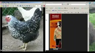 Editing in Irfanview