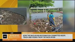 Where's Marty? Learning more about the Back River Restoration Committee's work