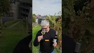 WDHM   Grauburgunder Gutswein Engelhof