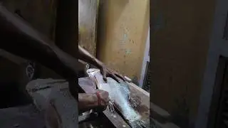 Amazing fish 🐠 cutting video #fishing #fish #shorts#biswajitcreation