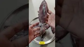 First time cleaning this squid fish 😄😎 #shorts #squidfish #priyan