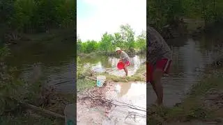 Excellent catching fish. #life#beautiful #refresh #lovely #nature #endurance #commitment #livelihood