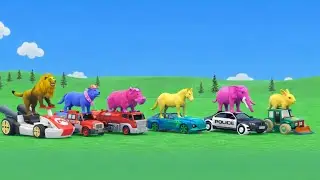 Crazy Long Slide Race with Animals | Funny 3D Animal Vehicles