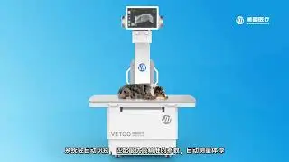 AI Collimator function for Veterinary Static/Dynamic DR