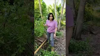 kaka🤣🤣 It's really funny how the boy teased the girl #TueNhifunny #funny #shorts