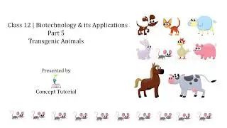 Transgenic Animals | Biotechnology and its Applications (Part 5) | Class 12