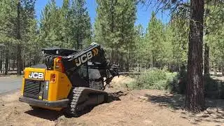 Cutting and Limbing Trees