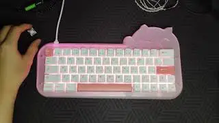 Neko Bongo Cat Keyboard