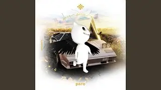 paro - acoustic