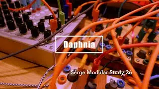 Serge Modular Study 26/ Daphnia (with Ciat-Lonbarde Clicker)