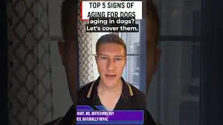 What are the top 5 signs of #aging in #dogs? Let&rsquo;s cover them. #doghealth #doglover #dog #doglife