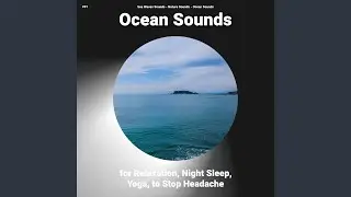 Ocean Sounds Pt. 16