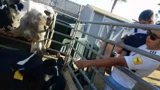 OC Fair |2018|