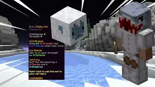 Fishing until I catch a BABY YETI PET! LUCKY! (Hypixel Skyblock)