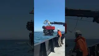 Join the MBARI crew for a day at sea!