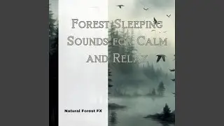 Melodious Songbird Sounds