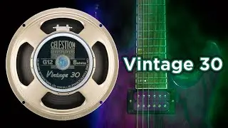 Celestion Vintage 30 (V30) clean, crunch and high gain demonstration