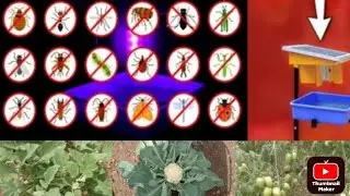 Solar Light Insect&nbsp; Trap || Best Solar Pest Control Device for Agriculture