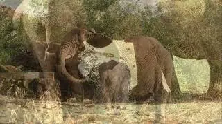 On Tourismus Namibia this weekend