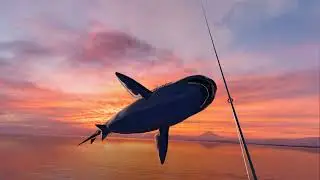 Real VR Fishing (RVRF) Shark Code
