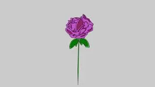 Rose animation