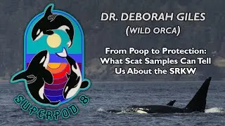 Superpod 8 - Dr. Deborah Giles (Wild Orca) - From Poop to Protection: SRKW Scat Sampling