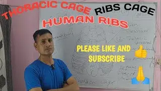 Ribs in Human body  / Sternum / Ribs cage / Thoracic cage / पसलियाँ /  Total Ribs #vigyanpratiyogita