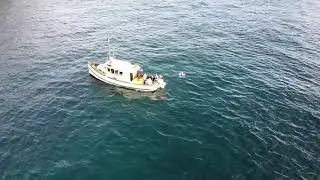Leask Bay Fishing Charter in Stewart Island, New Zealand