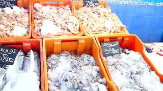 أسعار الأسماك في سوق مجاز الباب ، نجيبو في الحوت الفرشك وعندنا حتى الكغ 7800 مليم