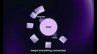 BaseCamp, Why Marketing Teams need a modern Digital Asset Management DAM | From Chaos to Control