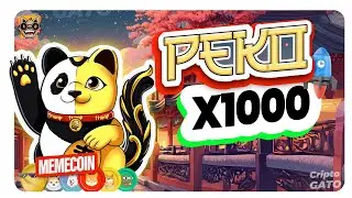 🔥THE SOLANA LUCKY CRYPTO PANDA GATO DE LA SUERTE 🔥 $PEKO 🔥 EL Lucky Panda, GATO de la suerte