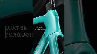 Pinarello Dogma F 2025 - Introducing the NEW Luxter Colours!
