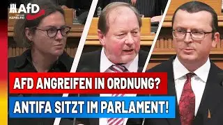 Mordversuch gegen AfD-Politiker halb so wild? Linker Terror bedroht uns alle!