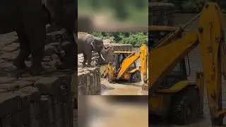 What is this Elephant Doing to the JCB?! 😱