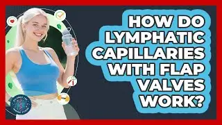 How Do Lymphatic Capillaries With Flap Valves Work? - All About the Immune System